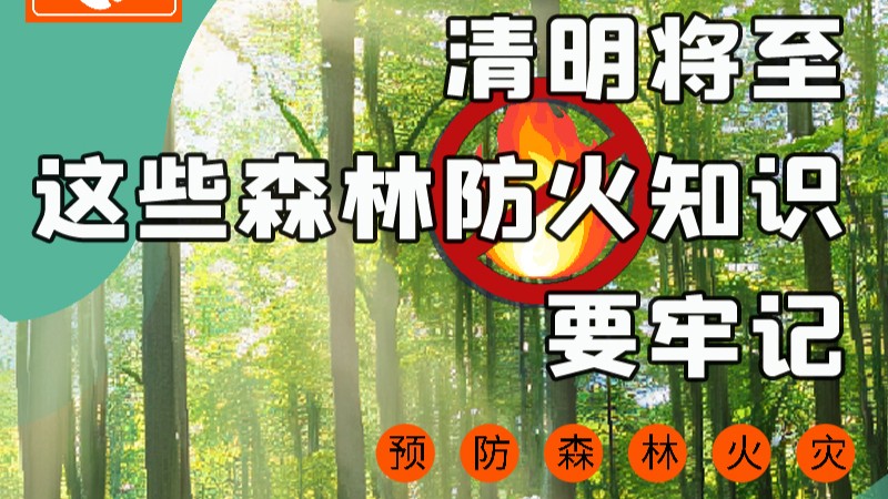 【甘快看】圖解|緊繃“安全弦”！清明，這些森林防火知識要牢記