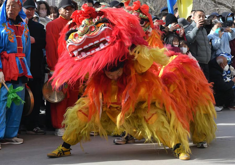 蘭州北獅表演現(xiàn)場。受訪者供圖