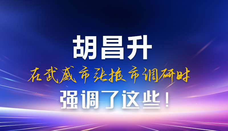 圖解|胡昌升在武威市張掖市調(diào)研時強調(diào)這些！