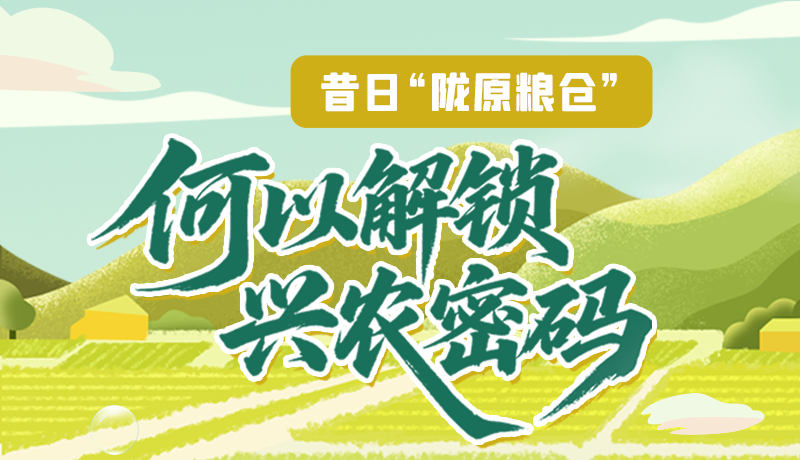 【理響中國(guó)·話隴點(diǎn)睛（3）】昔日“隴原糧倉(cāng)”，何以解鎖“興農(nóng)密碼”