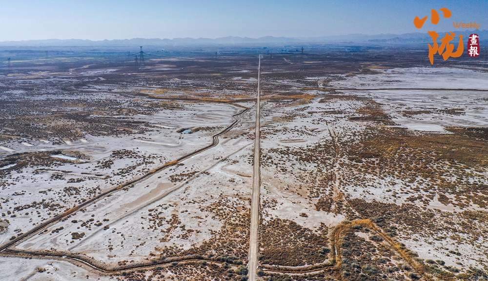 【小隴畫報·481期】景泰鹽沼濕地：荒蕪之上 繪就大地抽象畫