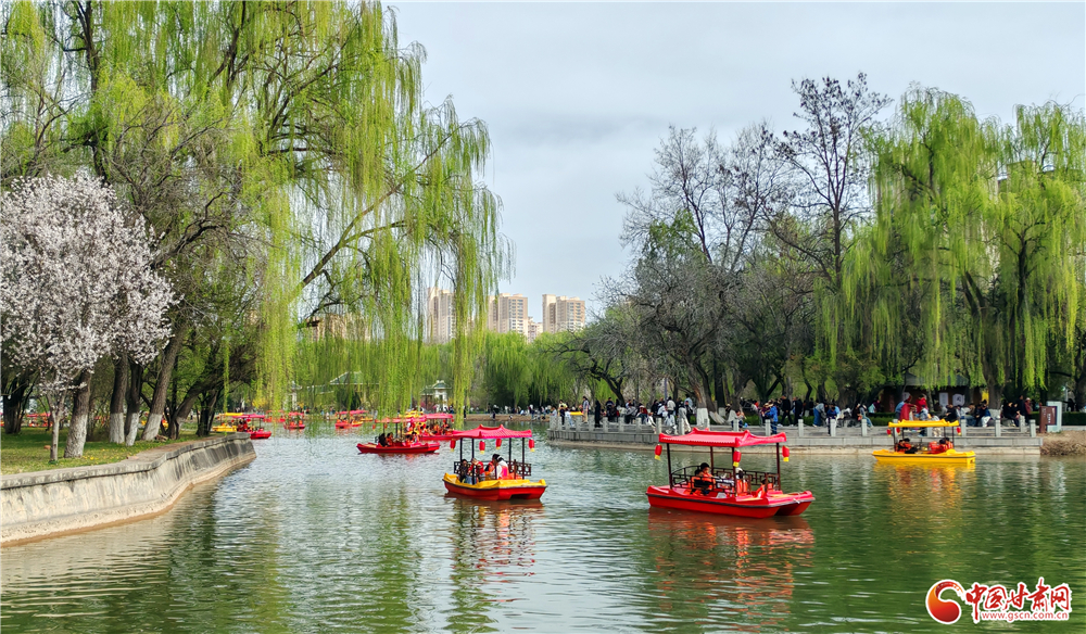 高清組圖丨金城清明好風光 花映黃河游人醉